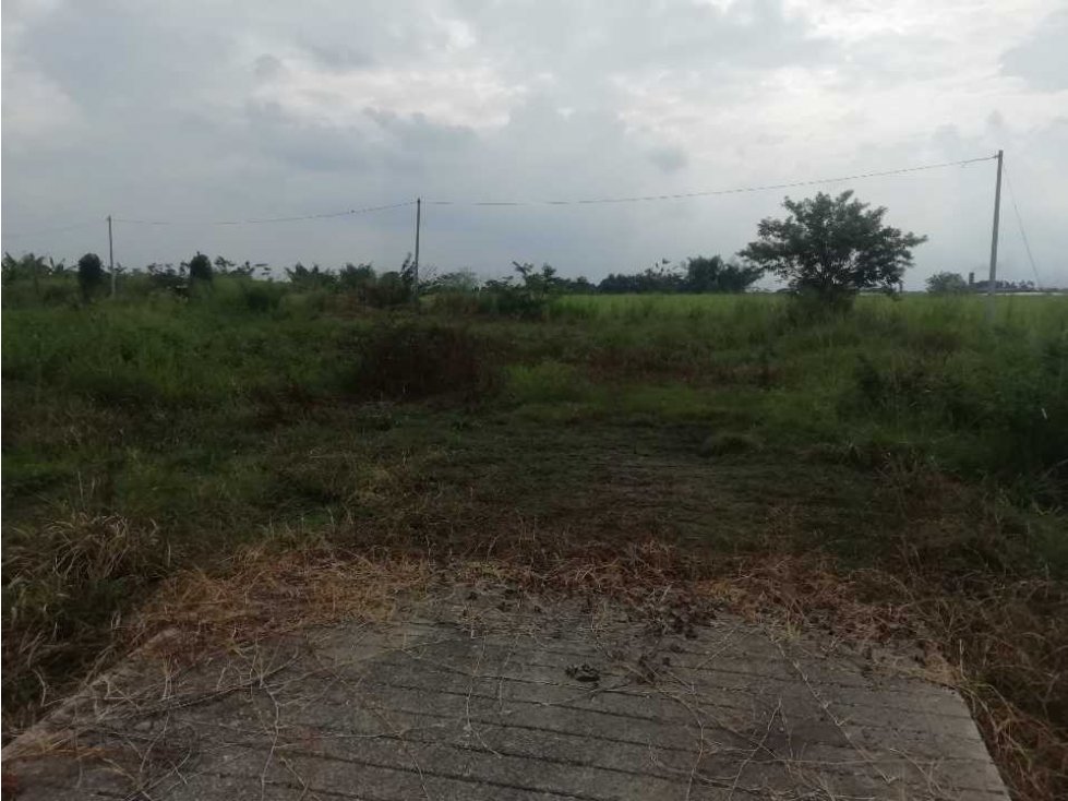 Lote en venta en villa Rica Cauca - 2