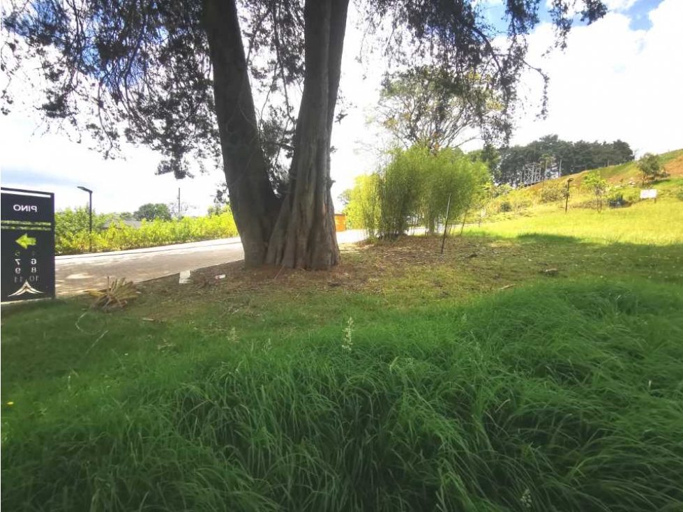 Lote en venta Envigado, Alto de las Palmas, sector La Acuarela!! — foto 6