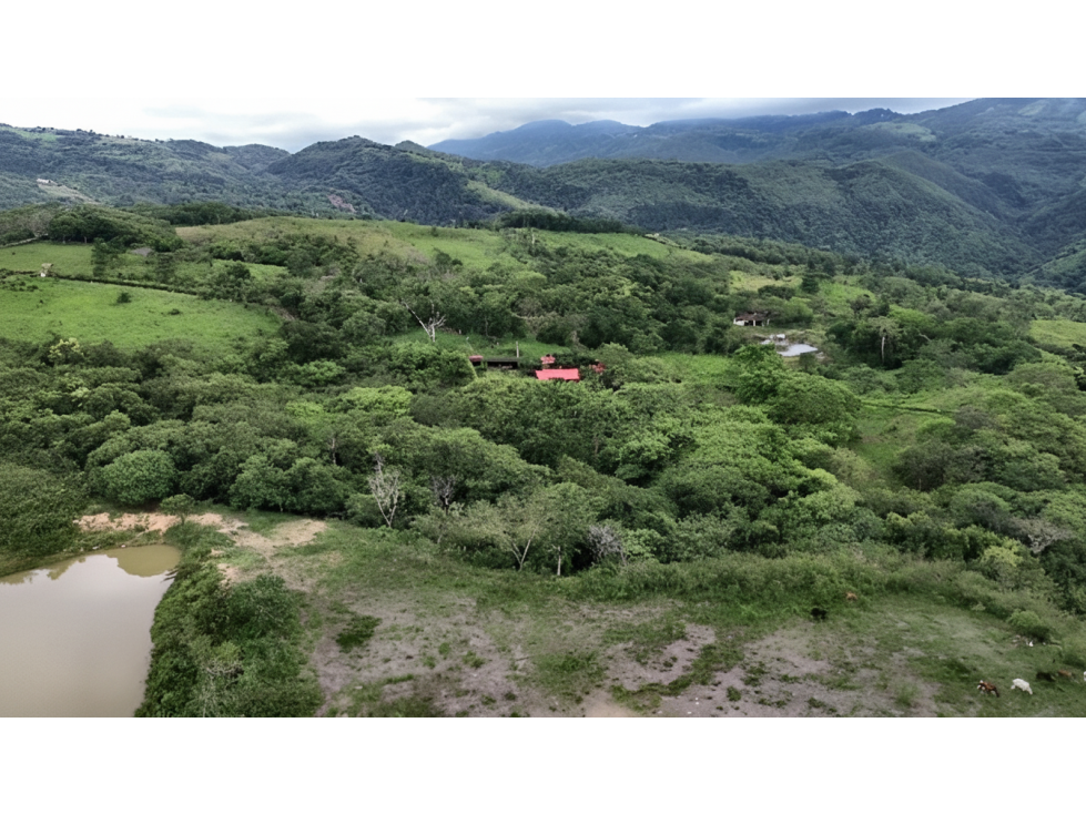 Lote en venta - Guaduas