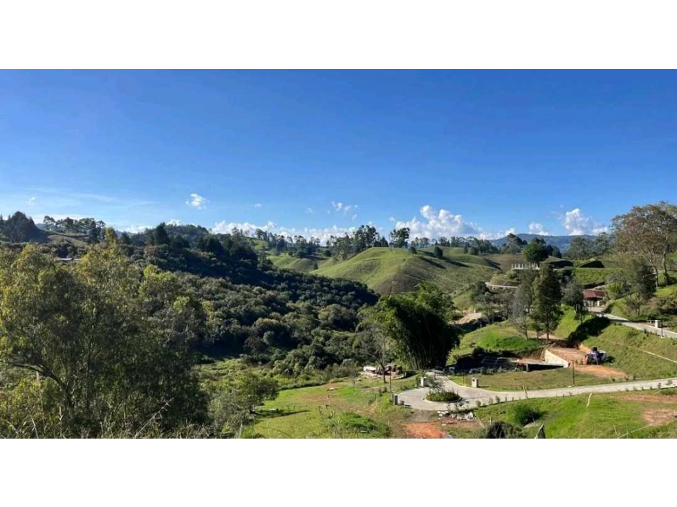 LOTE EN VENTA GUARNE SECTOR LA MOSQUITA (T) — foto 2