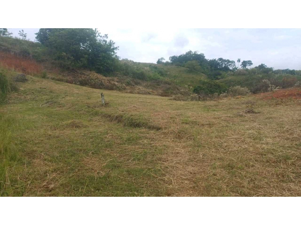 EN VENTA LOTE CAMPESTRE EN LA CARMELITA CERRITOS — foto 2