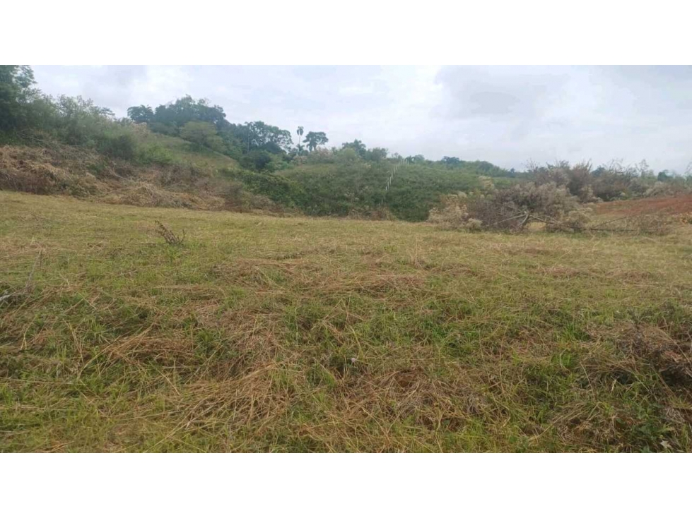 EN VENTA LOTE CAMPESTRE EN LA CARMELITA CERRITOS — foto 3