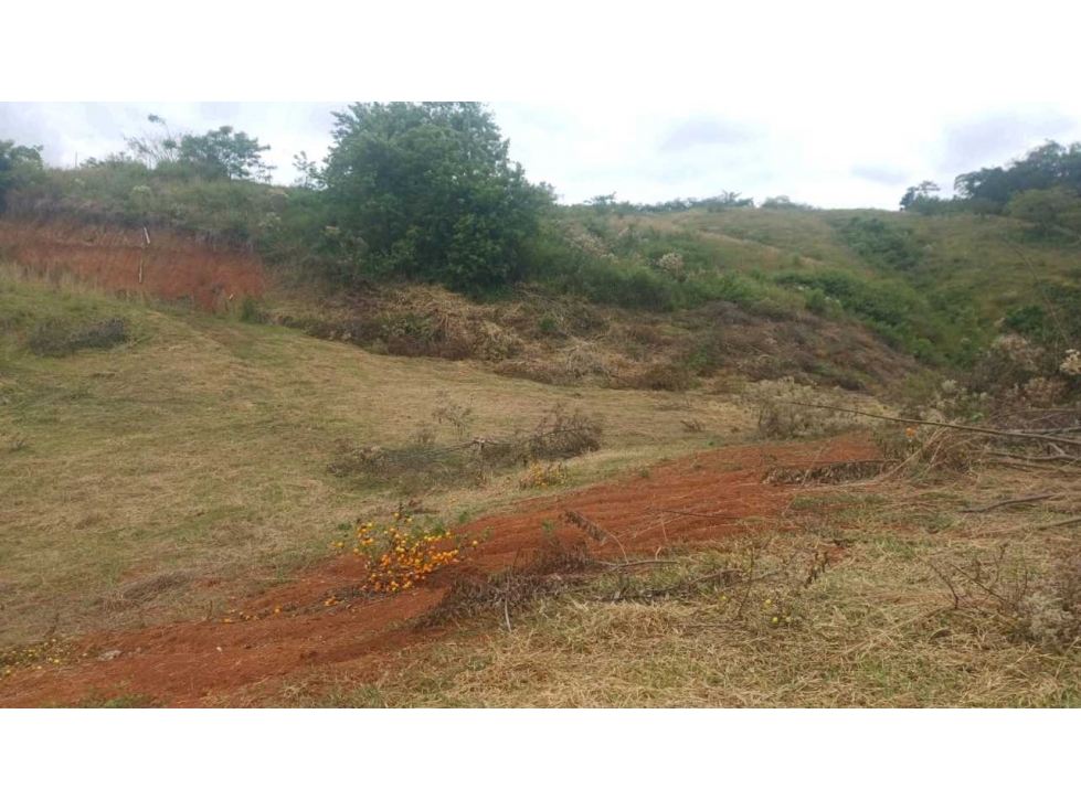 EN VENTA LOTE CAMPESTRE EN LA CARMELITA CERRITOS — foto 5