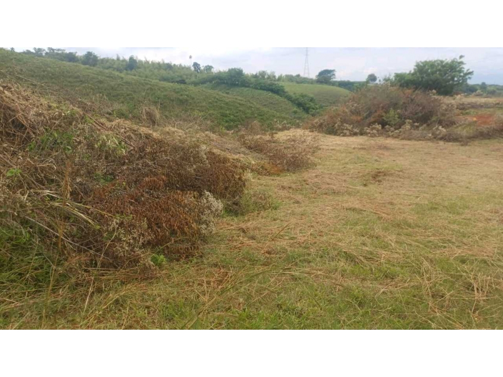 EN VENTA LOTE CAMPESTRE EN LA CARMELITA CERRITOS — foto 6