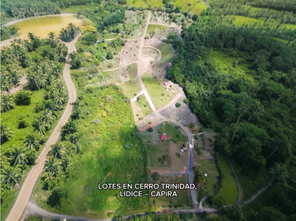 LOTES EN VENTA HERMOSA VISTA Y CLIMA DE MONTAÑA LIDICE DE CAPIRA