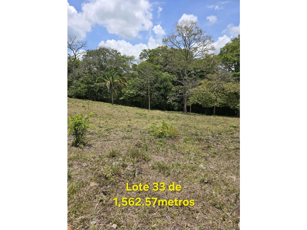 LOTES EN VENTA HERMOSA VISTA Y CLIMA DE MONTAÑA LIDICE DE CAPIRA — foto 5