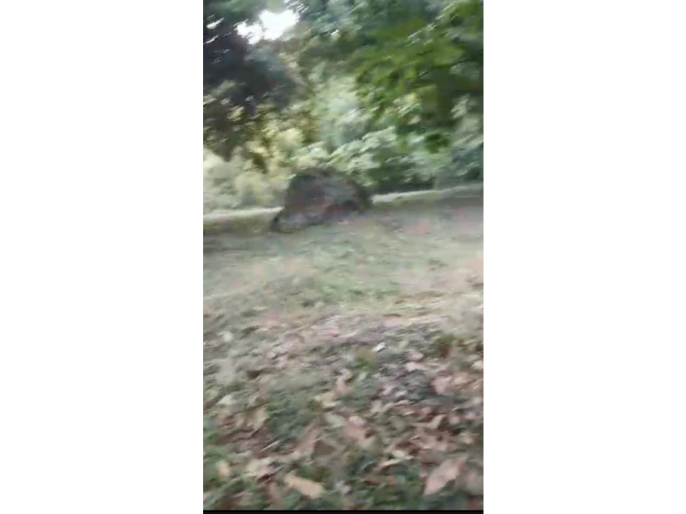 VENCAMBIO LOTE INDEPENDIENTE EN SAN JERONIMO MUY CERCA A DOBLE CALZADA — foto 3