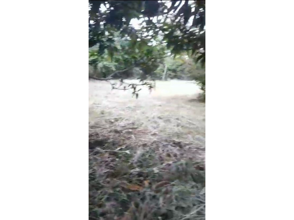VENCAMBIO LOTE INDEPENDIENTE EN SAN JERONIMO MUY CERCA A DOBLE CALZADA — foto 4