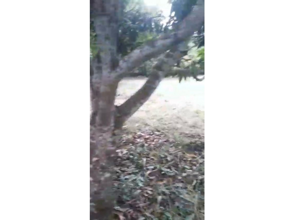 VENCAMBIO LOTE INDEPENDIENTE EN SAN JERONIMO MUY CERCA A DOBLE CALZADA — foto 5