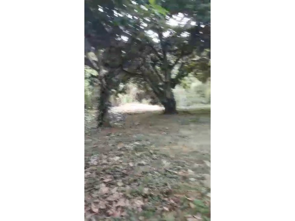 VENCAMBIO LOTE INDEPENDIENTE EN SAN JERONIMO MUY CERCA A DOBLE CALZADA — foto 6