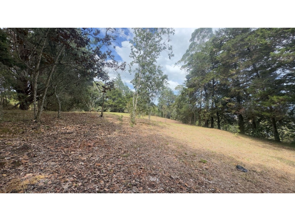 Lote en venta independiente en Sajonia