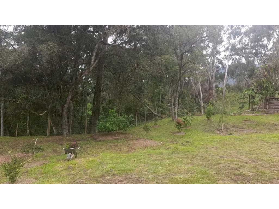 LOTE EN VENTA INDEPENDIENTE SECTOR EL TAMBO (La Cristalina)
