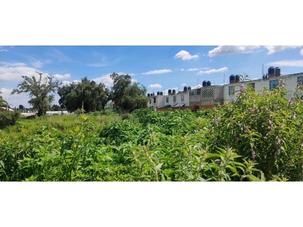 Lote en venta ixtacuixtla Tlaxcala - 4