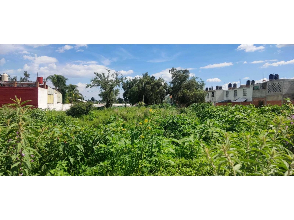 Lote en venta ixtacuixtla Tlaxcala - 5