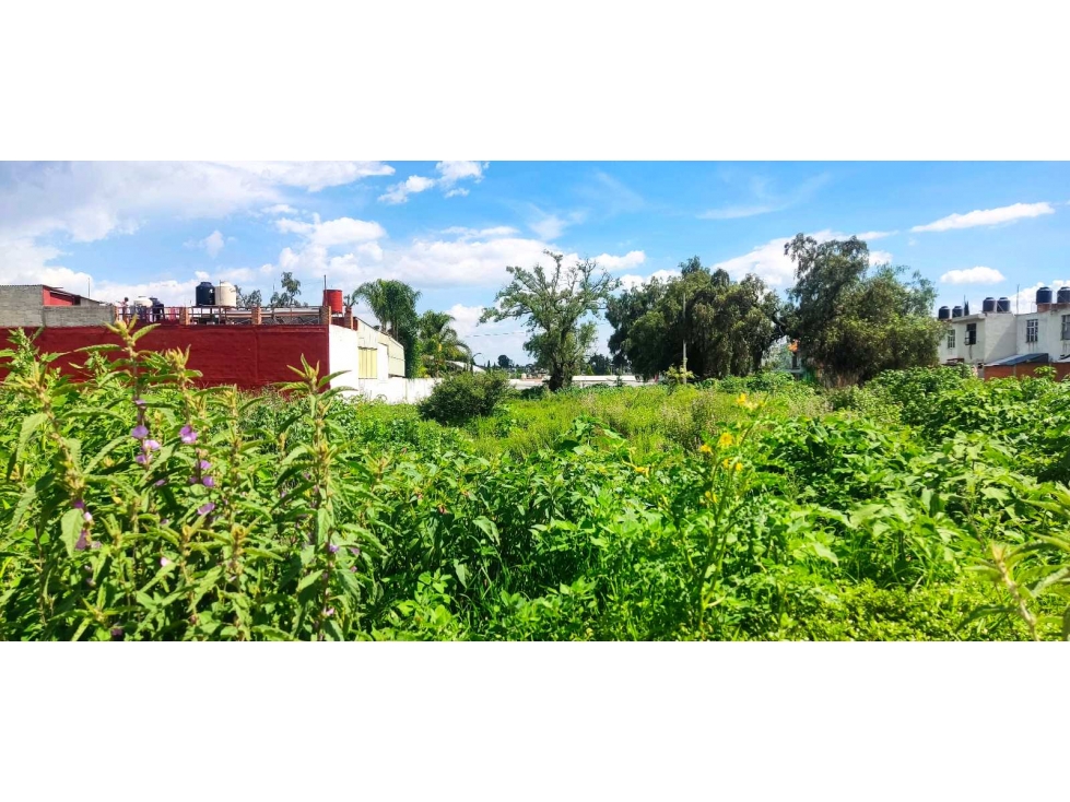 Lote en venta ixtacuixtla Tlaxcala - 6