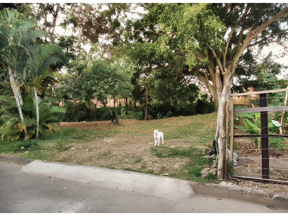 Lote en venta - Jamundí