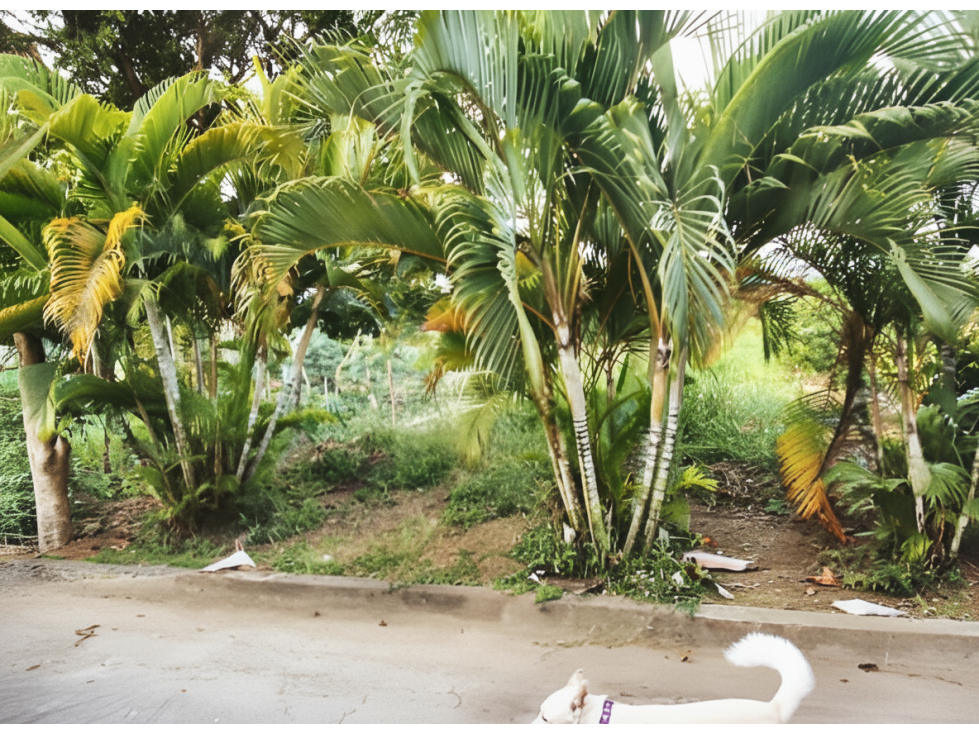 Lote en venta - Jamundí