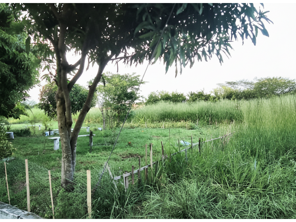 Lote en venta - Jamundí