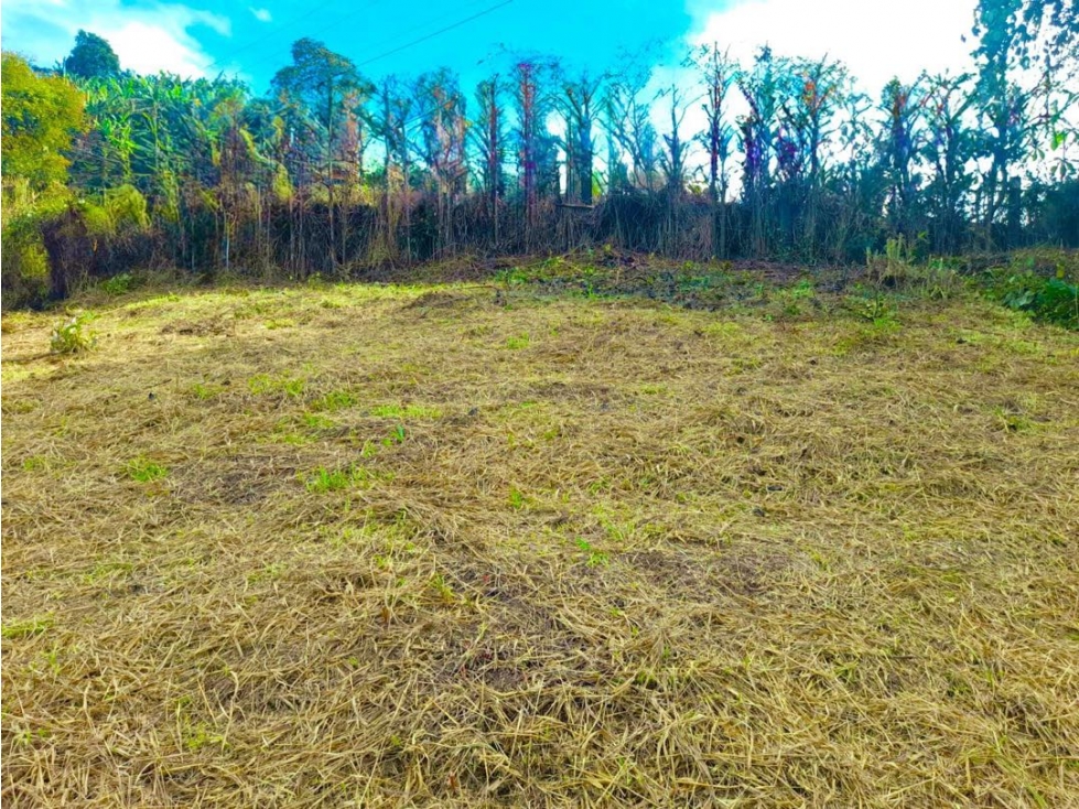 LOTE EN VENTA JERICÓ ANTIOQUIA - 2