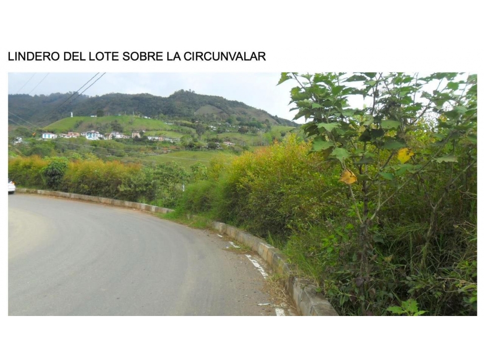 LOTE EN VENTA JERICÓ ANTIOQUIA - 5