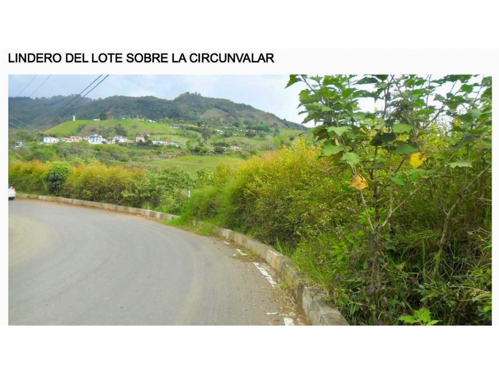 LOTE EN VENTA JERICÓ ANTIOQUIA - 6
