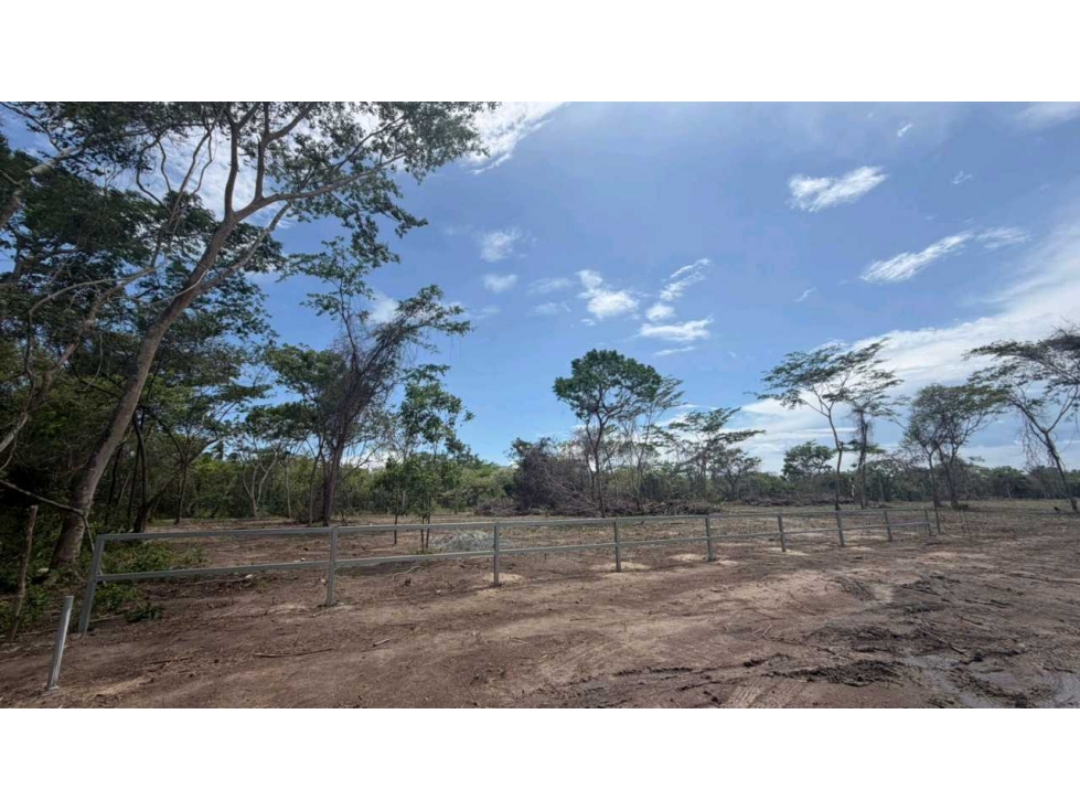 LOTE EN VENTA JUAN HOMBRON A PASOS DE LA PLAYA 500M2 TITULADO - 2