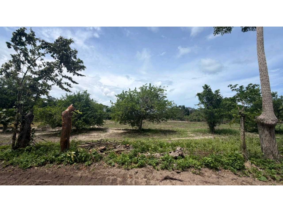 LOTE EN VENTA JUAN HOMBRON A PASOS DE LA PLAYA 500M2 TITULADO - 5
