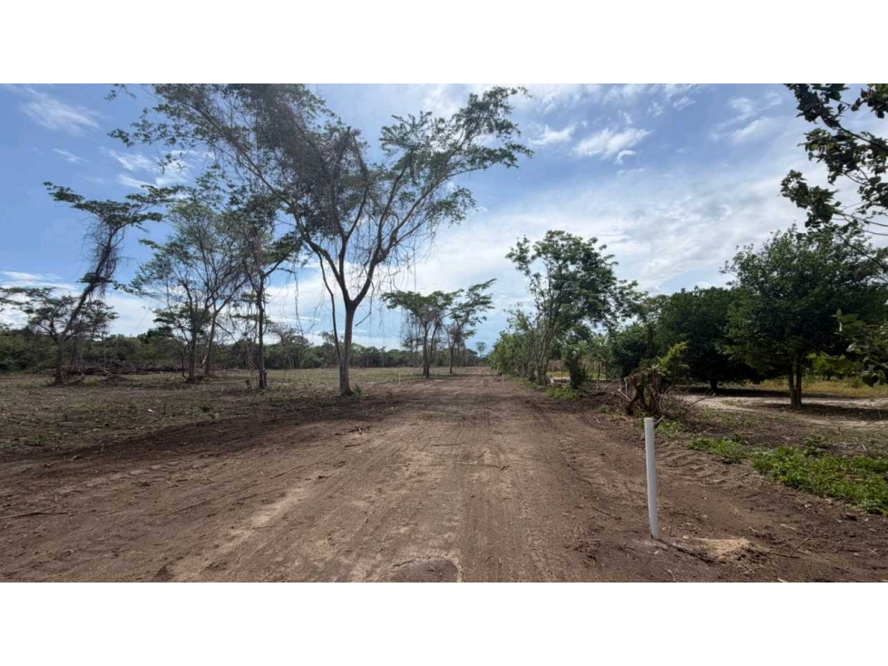 LOTE EN VENTA JUAN HOMBRON A PASOS DE LA PLAYA 500M2 TITULADO - 6