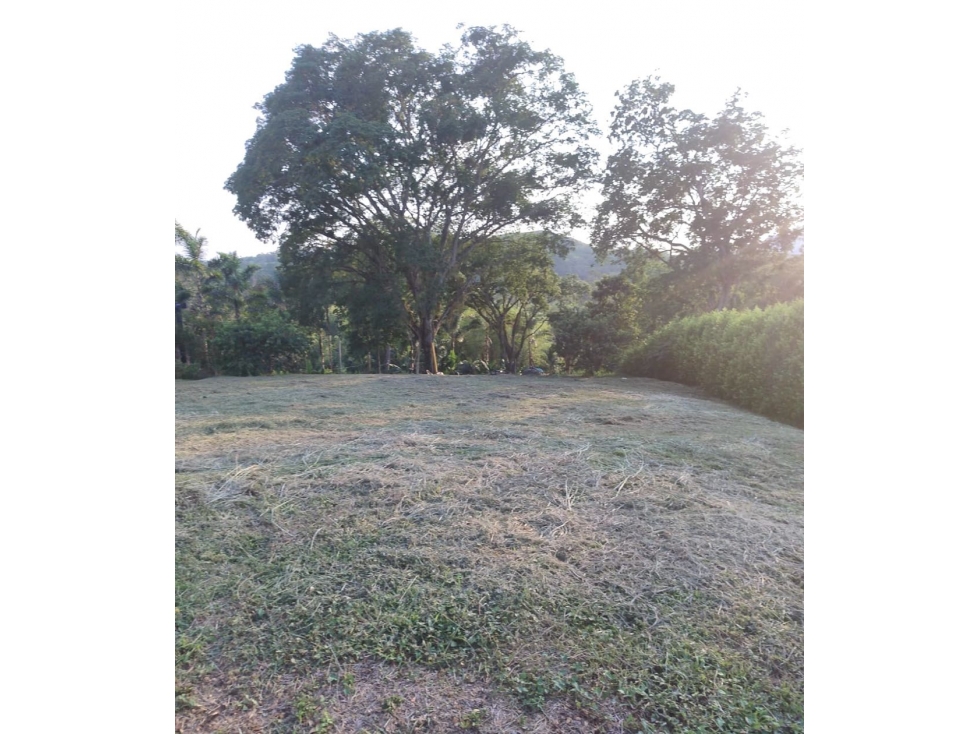 Lote En Venta Km 47 Manizales - Medellín - 2