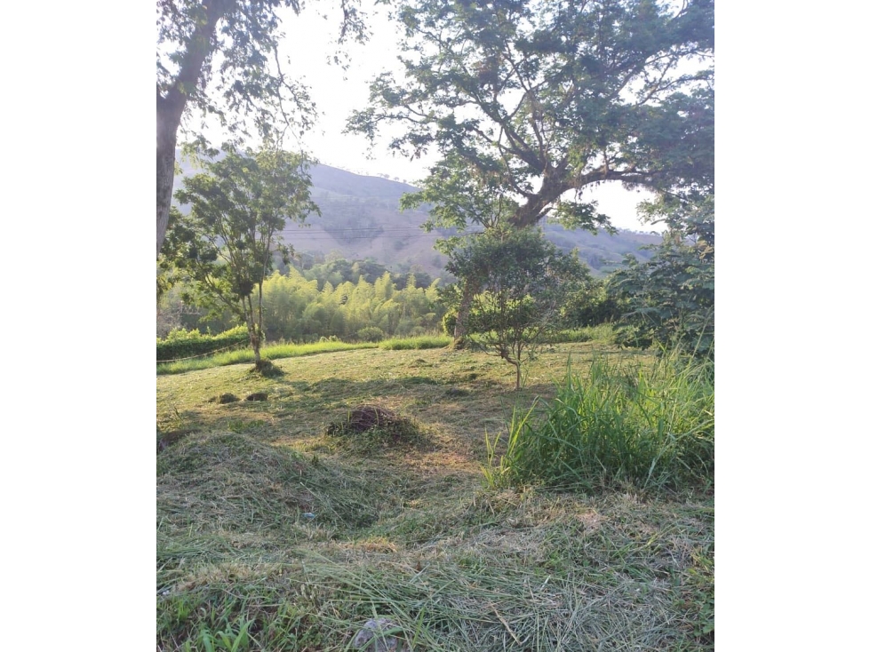 Lote En Venta Km 47 Manizales - Medellín - 3