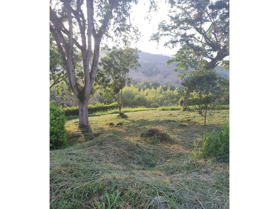 Lote En Venta Km 47 Manizales - Medellín - 4