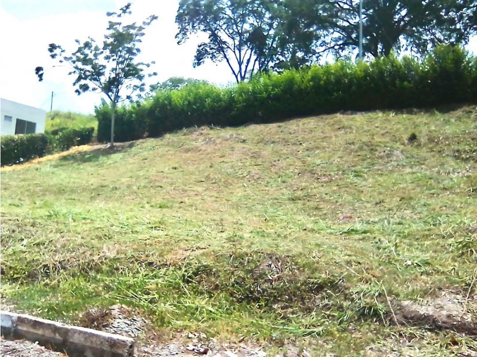 Lote En Venta Km 47 Vía Manizales - Medellín - 1