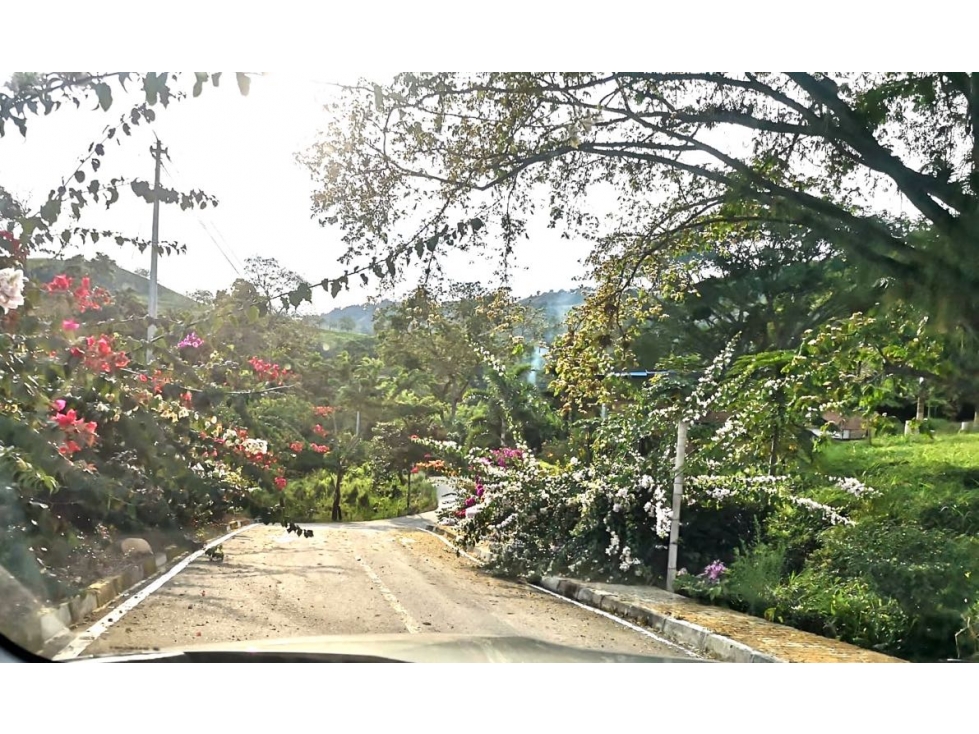 Lote En Venta Km 47 Vía Manizales - Medellín