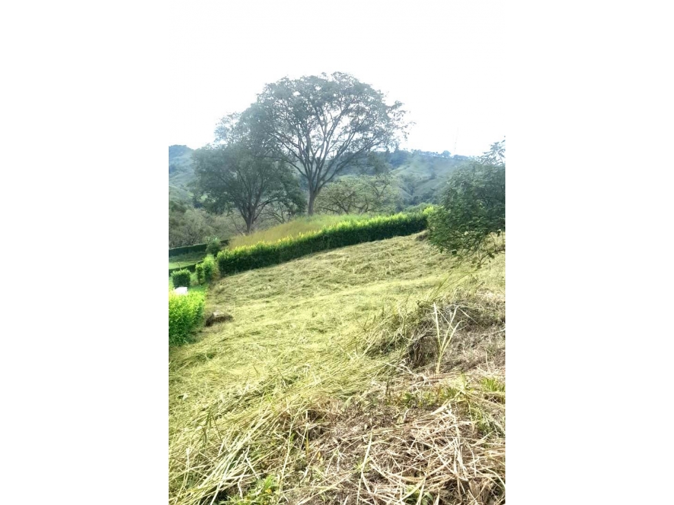 Lote En Venta Km 47 Vía Manizales - Medellín — foto 2