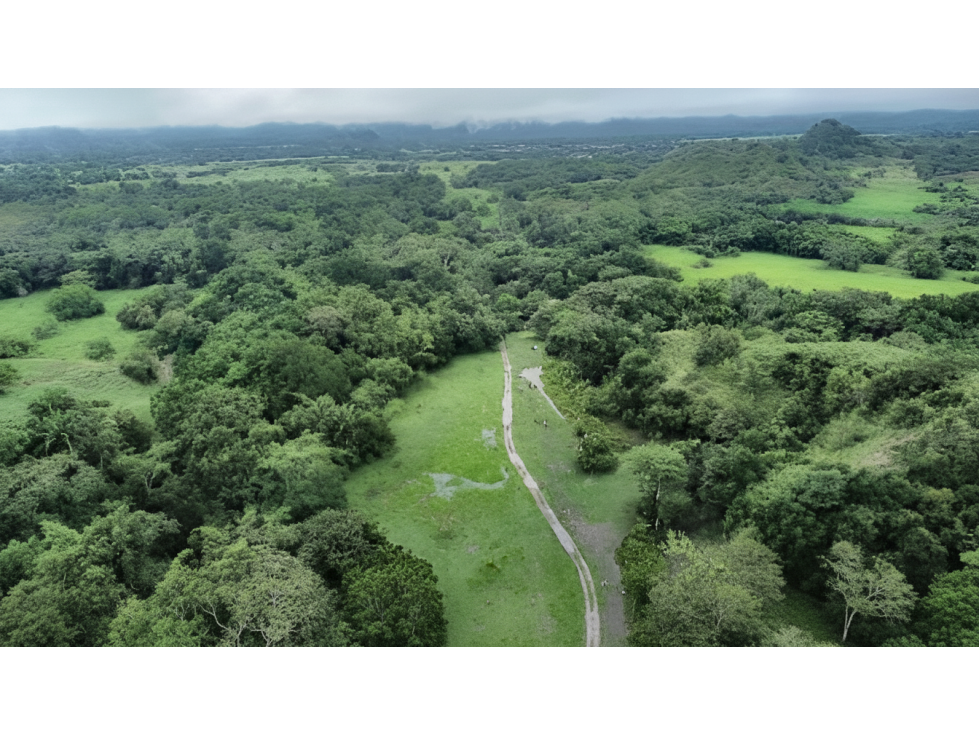Lote en venta - La Dorada - 1