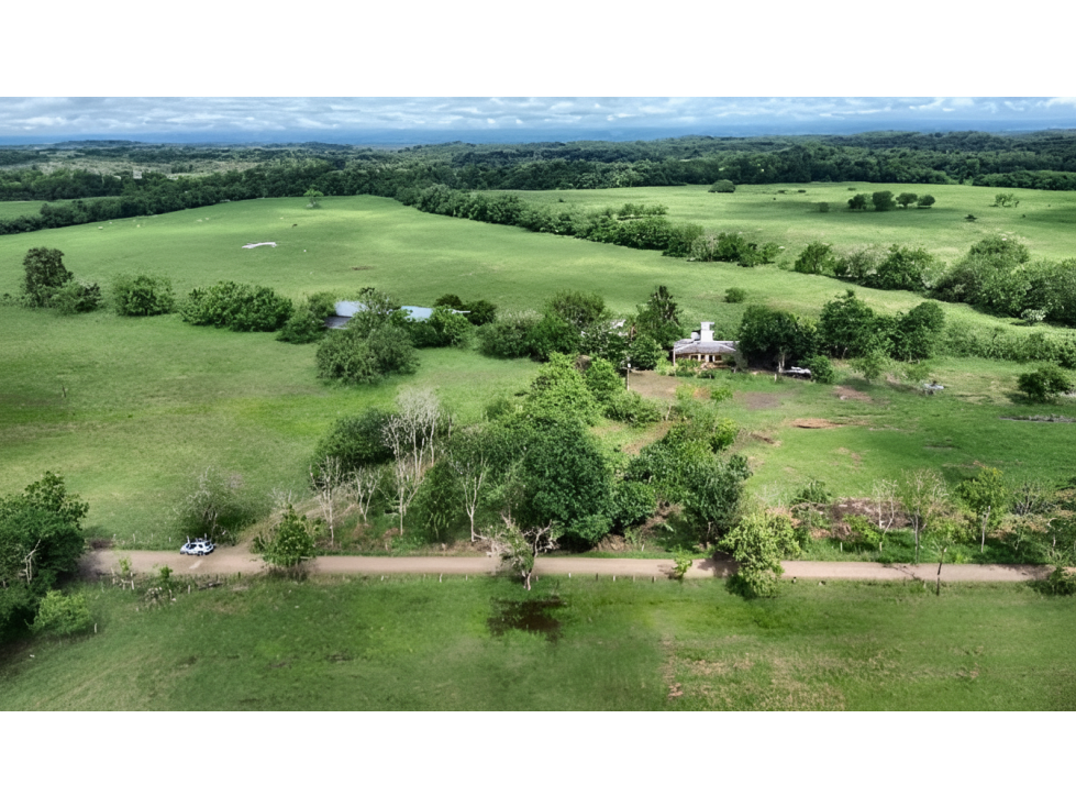 Lote en venta - La Dorada - 1