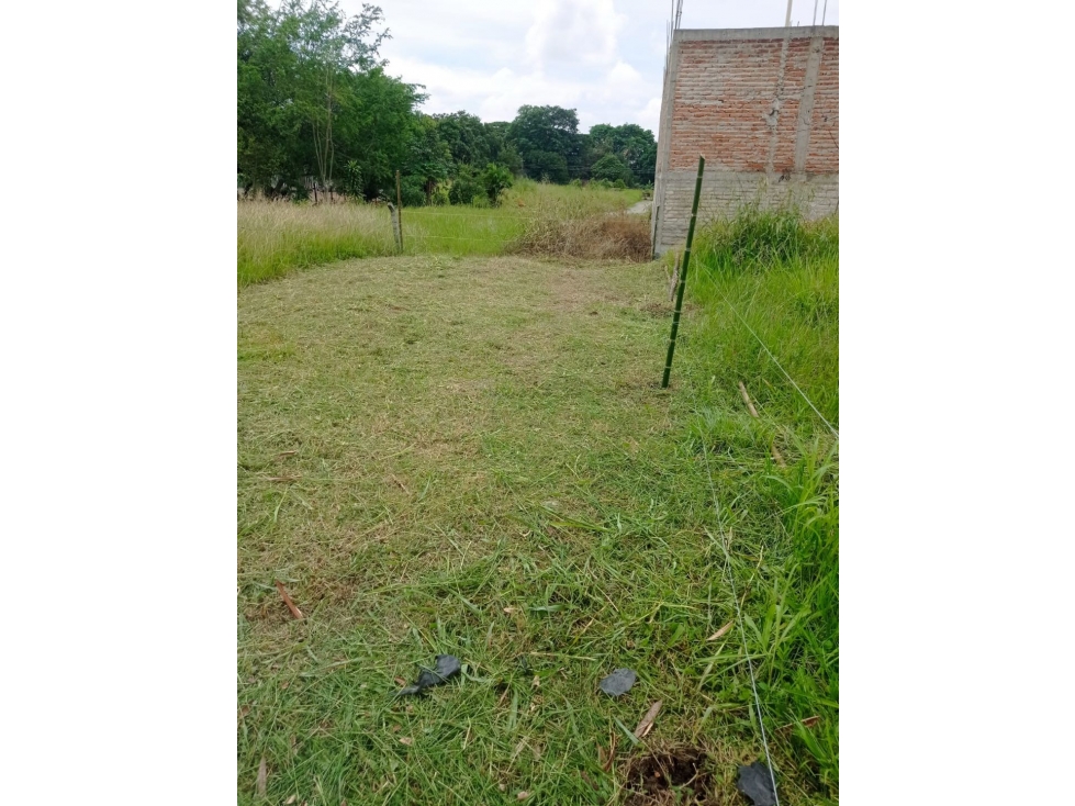 Lote en Venta, Urbanización Palmares de la Perla, Ginebra Valle - 4