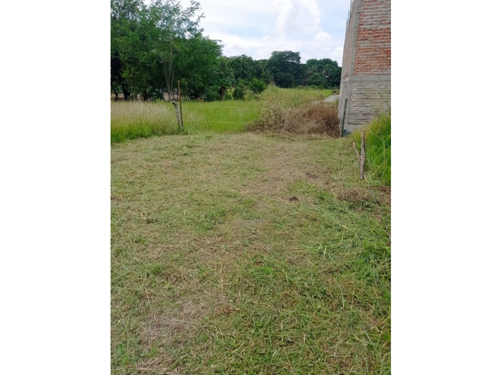 Lote en Venta, Urbanización Palmares de la Perla, Ginebra Valle - 5