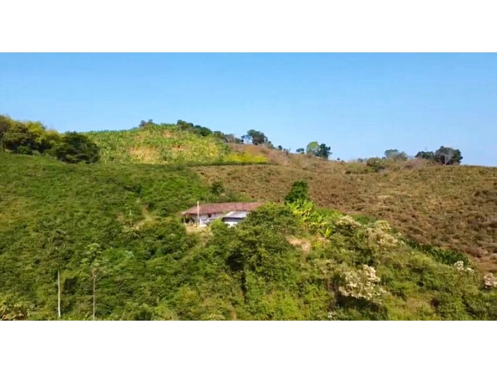 Lote Campestre En Venta La Trinidad Manizales — foto 2