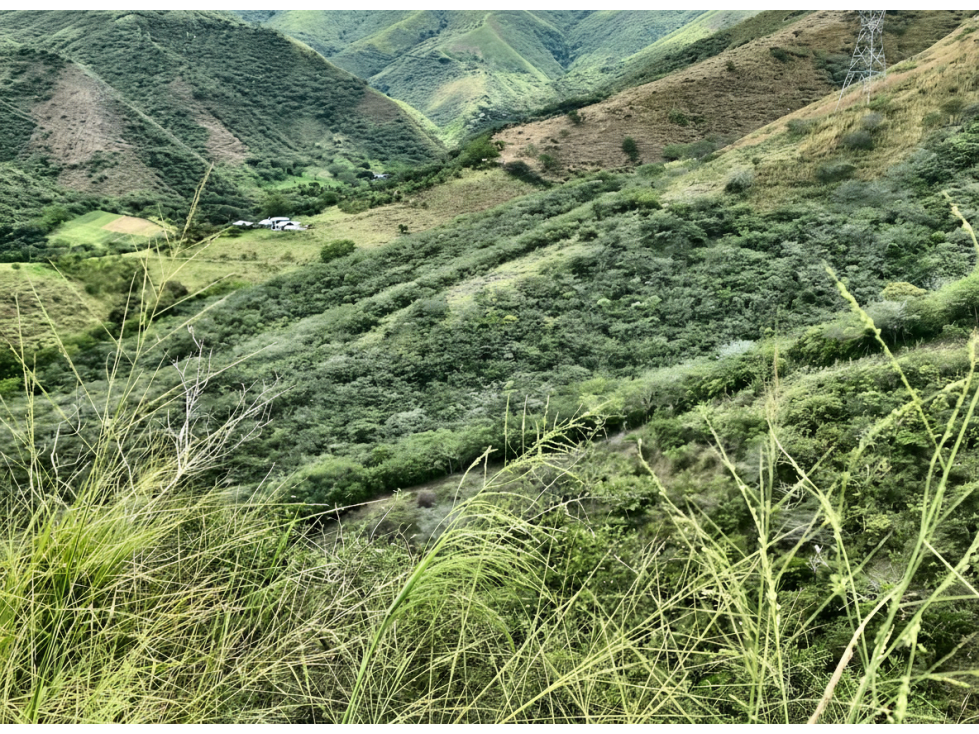 Lote en venta - La Unión - 1