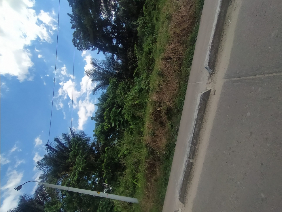 LOTE en Venta - Leticia, Amazonas