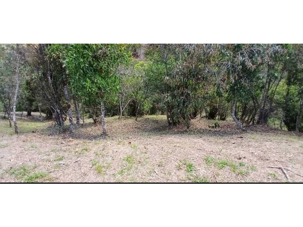 lote en venta Marinilla Antioquia 7.000 m2 enunidad cerrada. — foto 2