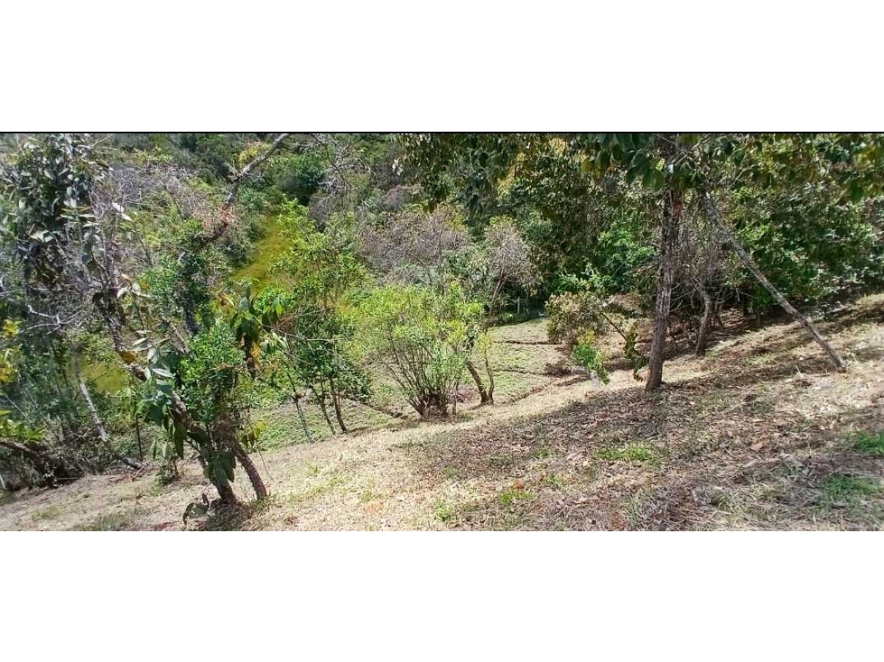 lote en venta Marinilla Antioquia 7.000 m2 enunidad cerrada. — foto 3