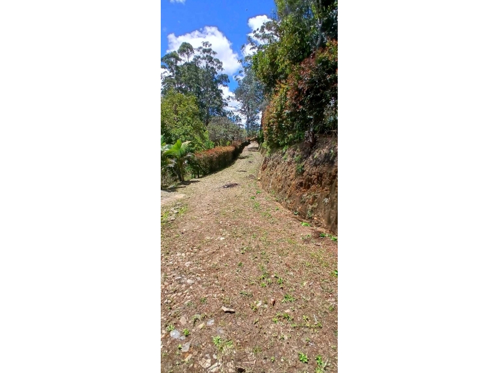 lote en venta Marinilla Antioquia 7.000 m2 enunidad cerrada. — foto 4