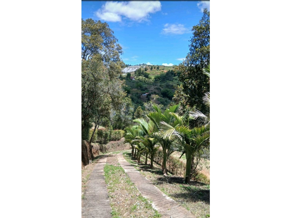 lote en venta Marinilla Antioquia 7.000 m2 enunidad cerrada. — foto 5