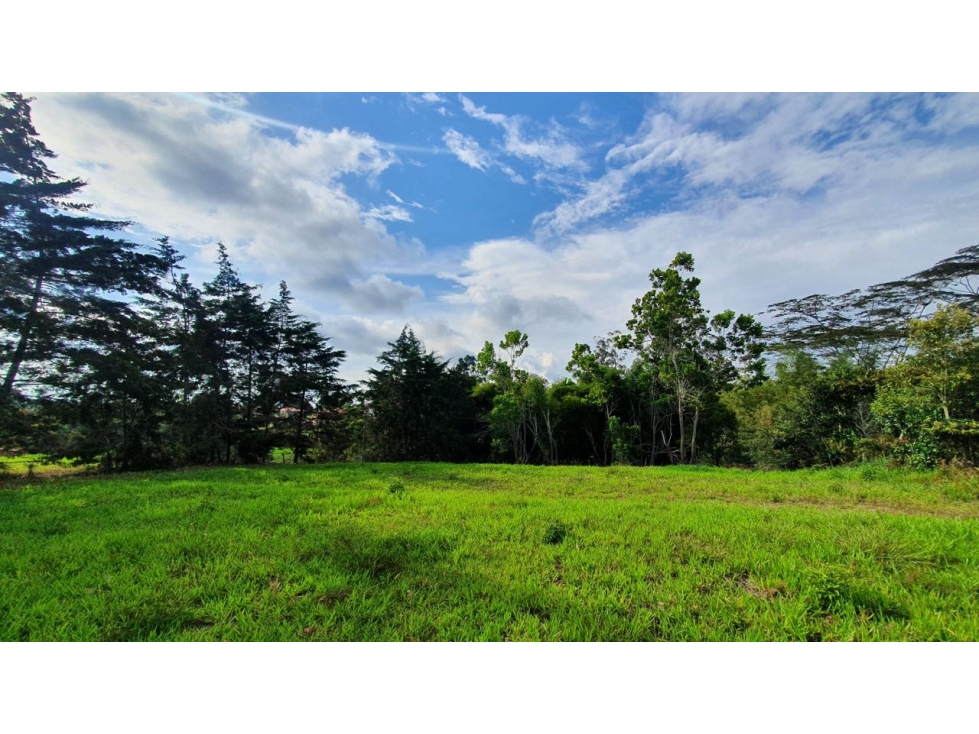 VENTA LOTE MESA DE LOS SANTOS SANTANDER VIA PAVIMENTADA - 6