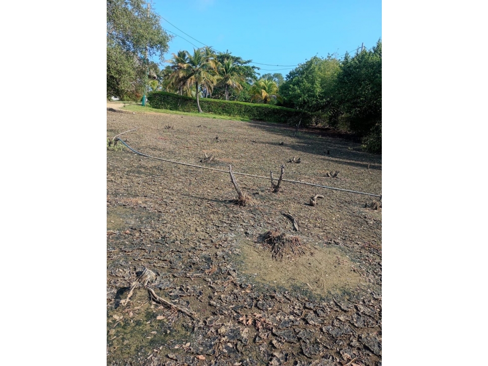 Lote en venta Moñitos-Córdoba.Ubicacion privilegiada a 80 mts del mar - 3