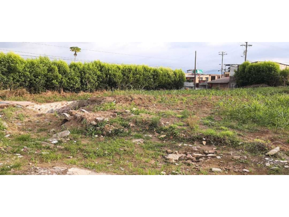 LOTE EN VENTA MONTENEGRO QUINDIO — foto 2