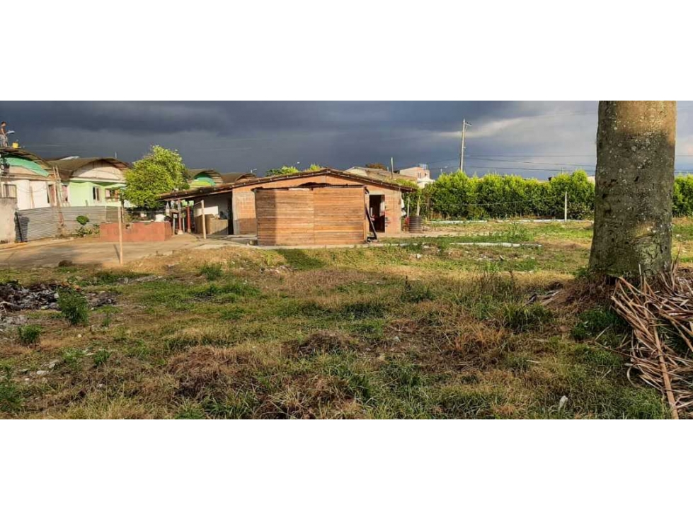 LOTE EN VENTA MONTENEGRO QUINDIO — foto 4