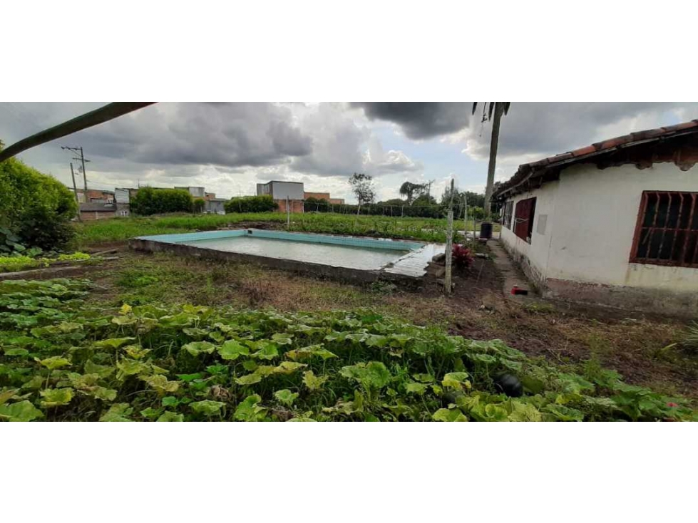 LOTE EN VENTA MONTENEGRO QUINDIO — foto 5